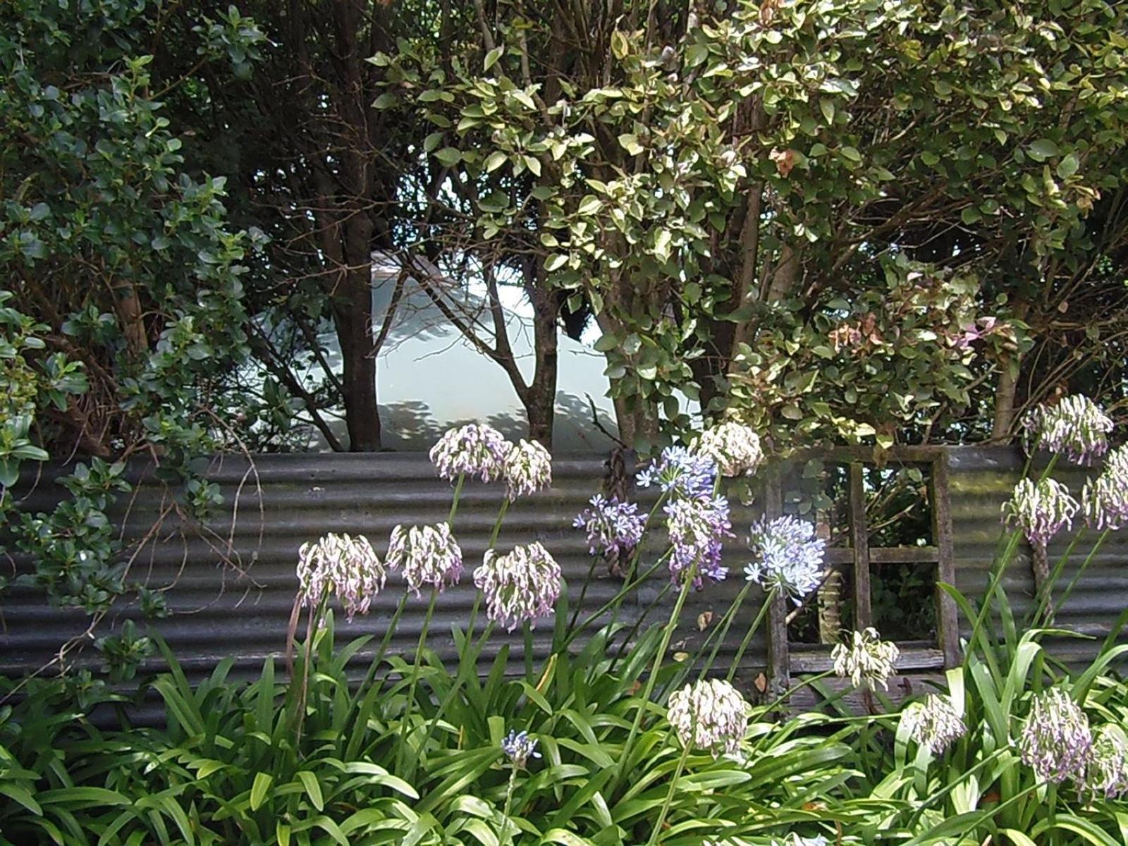 Nikau Sanctuary Hotel Raglan Eksteriør billede